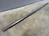 Front door glass trim molding
