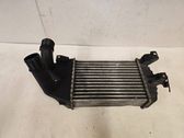 Intercooler radiator