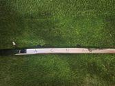 Trunk door license plate light bar