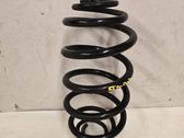 Rear coil spring