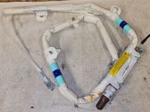 Roof airbag