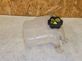 Coolant expansion tank/reservoir