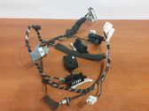 Other wiring loom