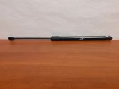 Tailgate/trunk strut/damper
