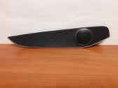 Rear door glass trim molding