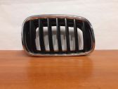 Front grill