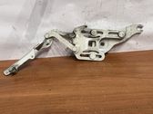 Tailgate/trunk/boot hinge