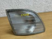 Front fender indicator light