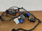Other wiring loom