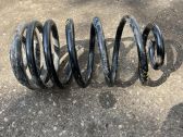 Rear coil spring