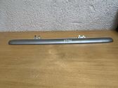 Trunk door license plate light bar
