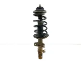 Front shock absorber with coil spring