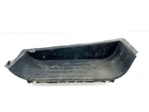 Front sill trim cover