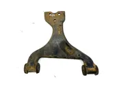 Front lower control arm/wishbone