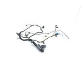 Rear door wiring loom