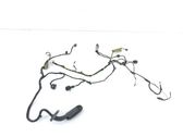 Front door wiring loom