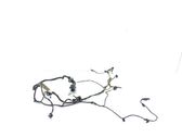 Front door wiring loom