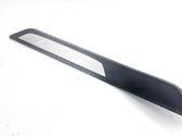 Rear sill trim cover