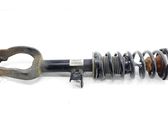 Front shock absorber with coil spring
