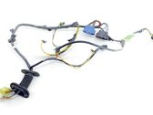 Front door wiring loom