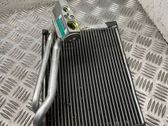 Air conditioning (A/C) radiator (interior)