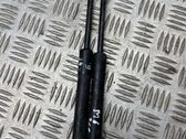 Tailgate/trunk strut/damper
