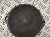 Panel speaker