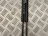 Tailgate/trunk strut/damper