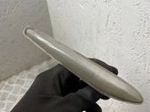 Front fender indicator light