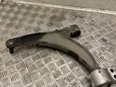 Front lower control arm/wishbone