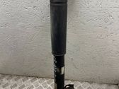 Rear shock absorber/damper