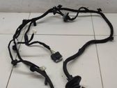 Front door wiring loom