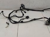 Rear door wiring loom