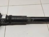 Rear shock absorber/damper