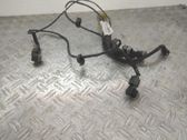 Parksensor PDC