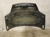 Motorhaube