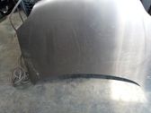 Motorhaube