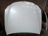 Motorhaube