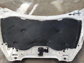 Capó/tapa del motor