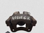 Bremssattel hinten