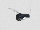 Sensor de petardeo del motor