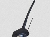 Radion antenni