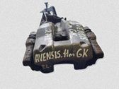 Bremssattel hinten