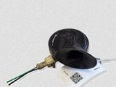 Signal sonore