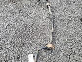 Stabilisator vorne