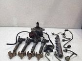 Fuel injection system set