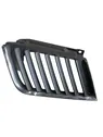 Front bumper upper radiator grill