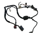 Front door wiring loom