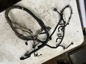 Faisceau de câblage pour moteur