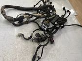 Engine installation wiring loom